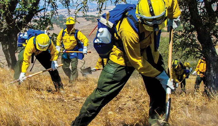 CHENEY FIRE - MEN'S PROPPER WILDLAND FIRE PANT