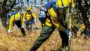 CHENEY FIRE - MEN'S PROPPER WILDLAND FIRE PANT